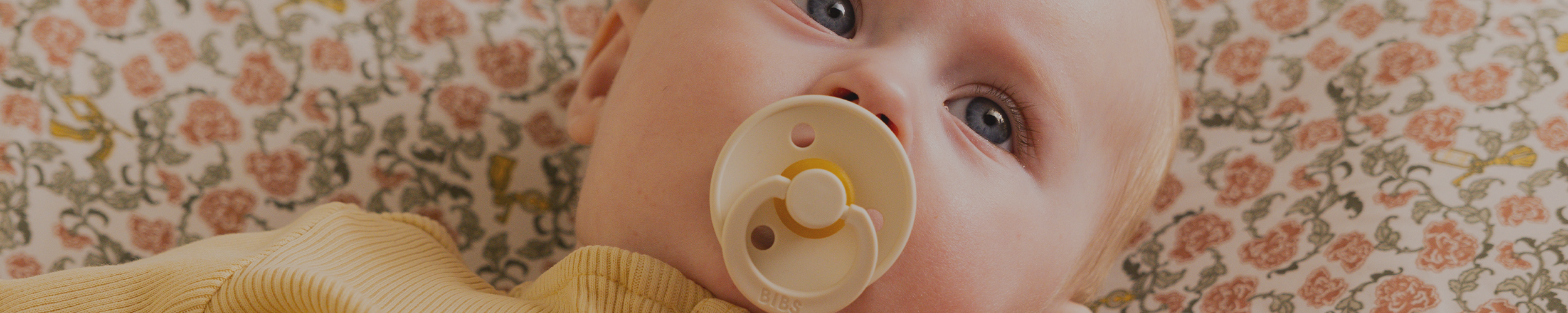 BIBS