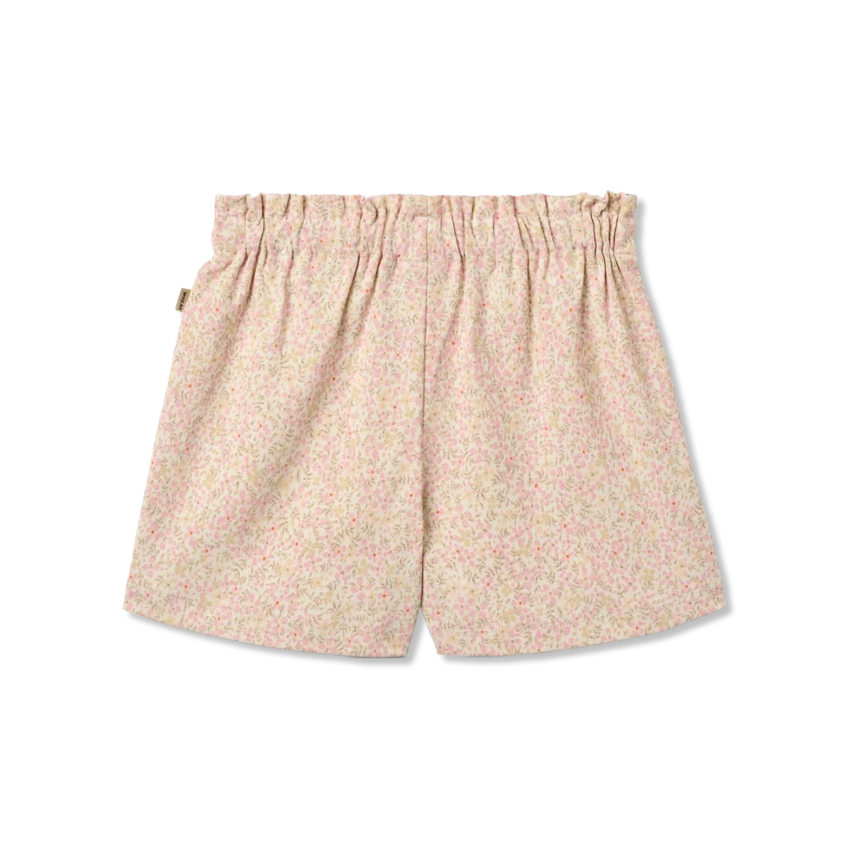 Ally broek