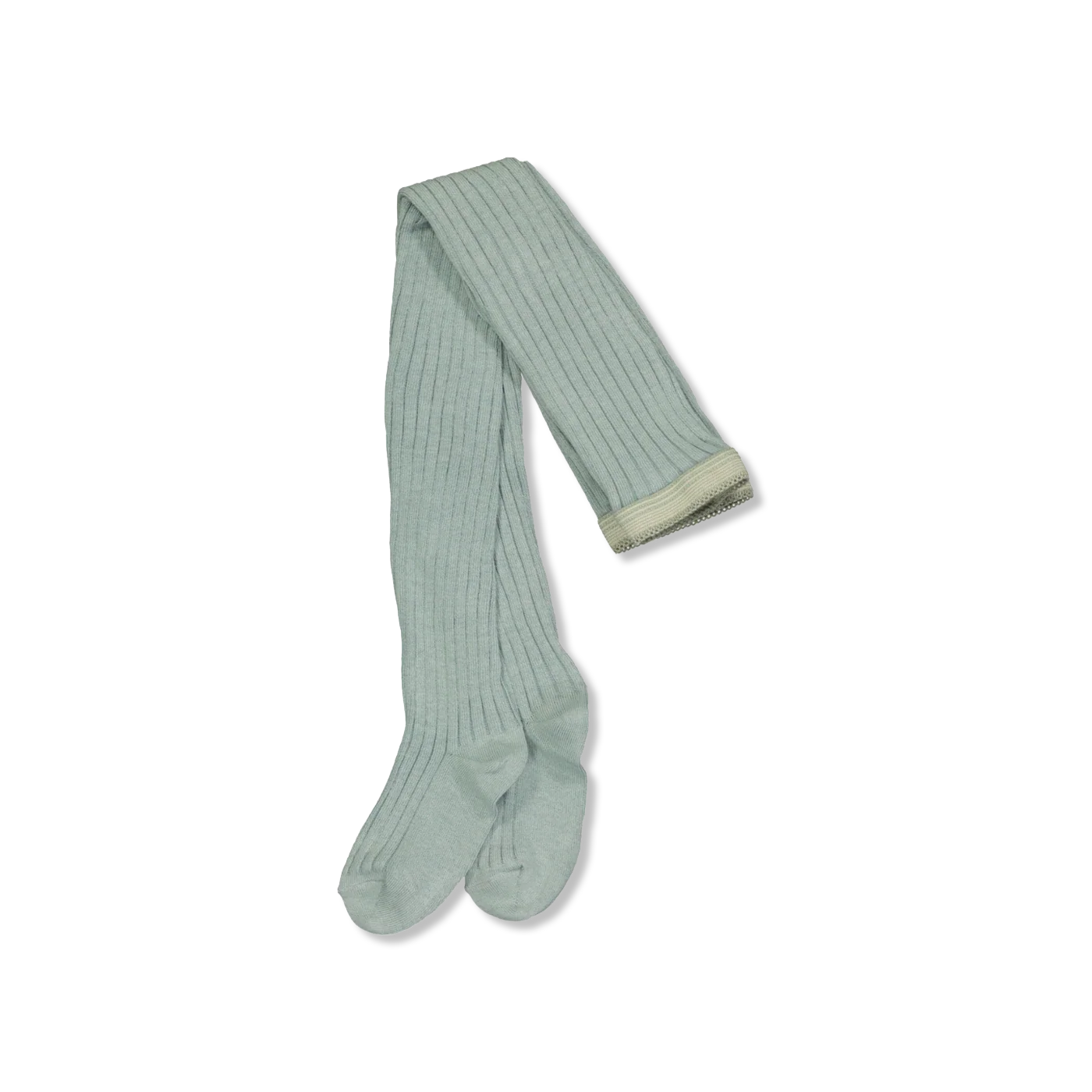 Cotton rib panty