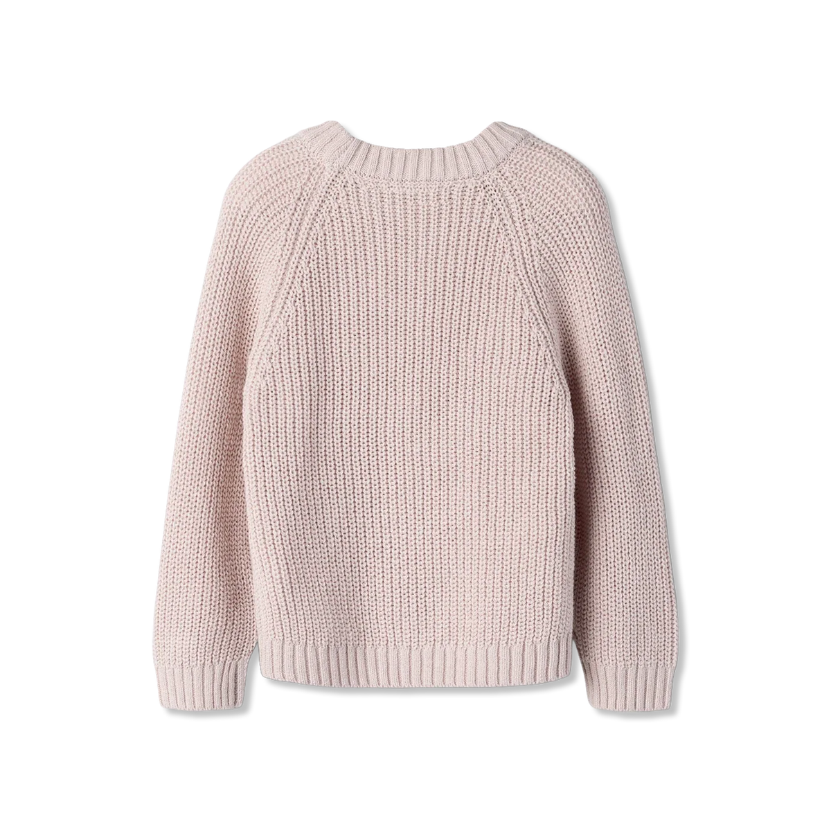 Nmfemlen T-shirt lange mouw