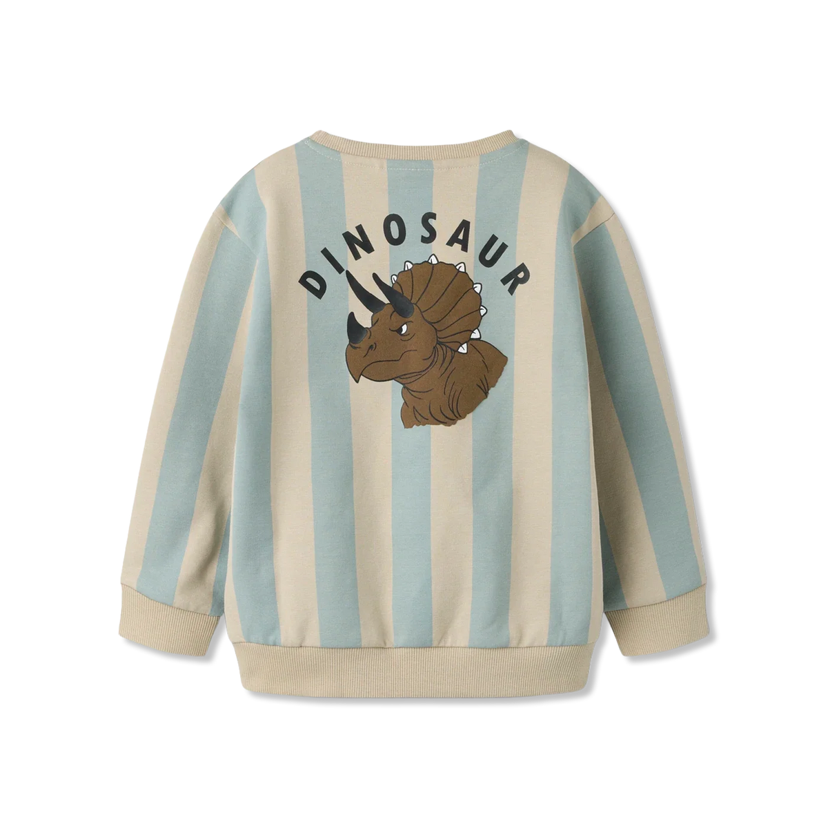 Nmmrake Sweatshirt