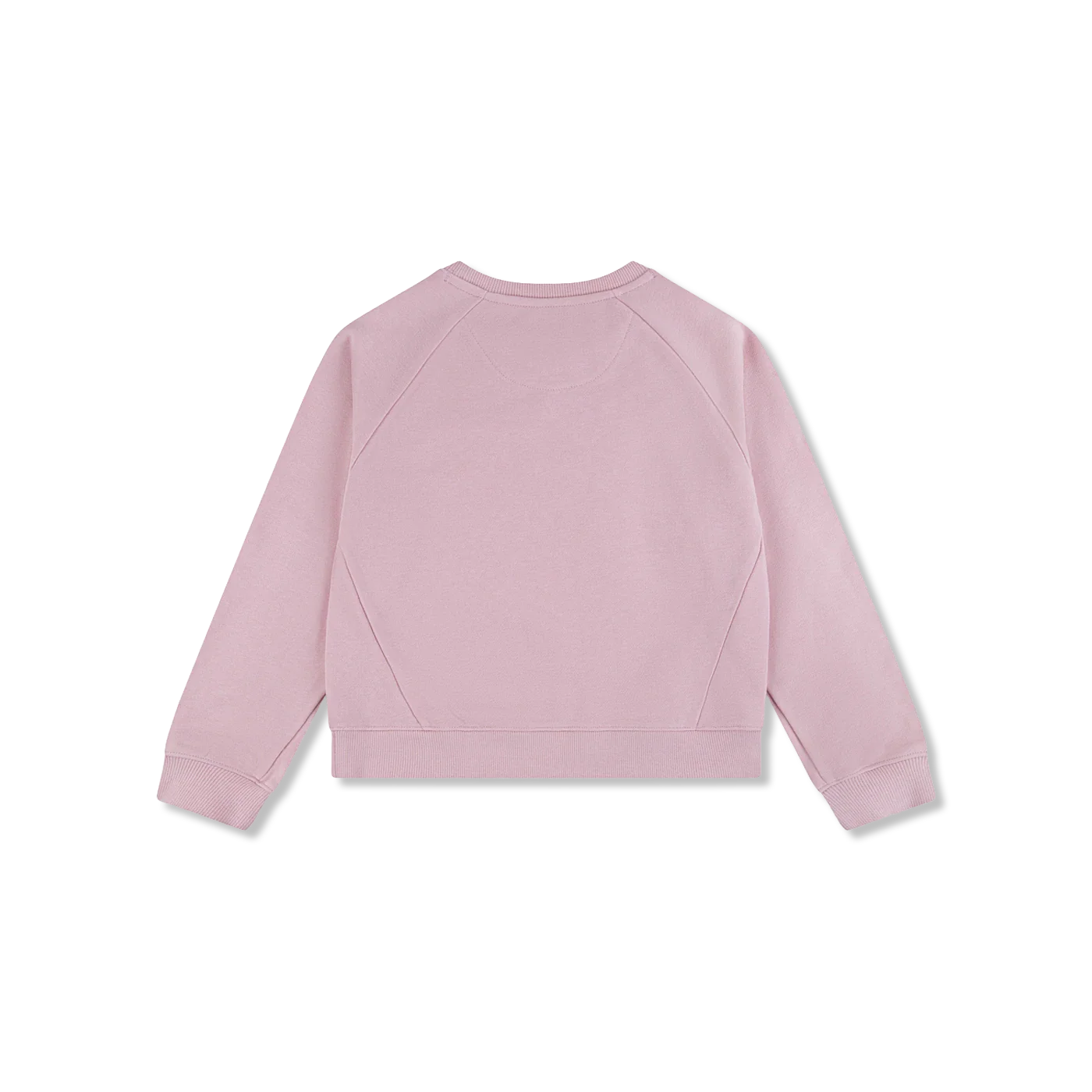 LVG CREW t-shirt lange mouw