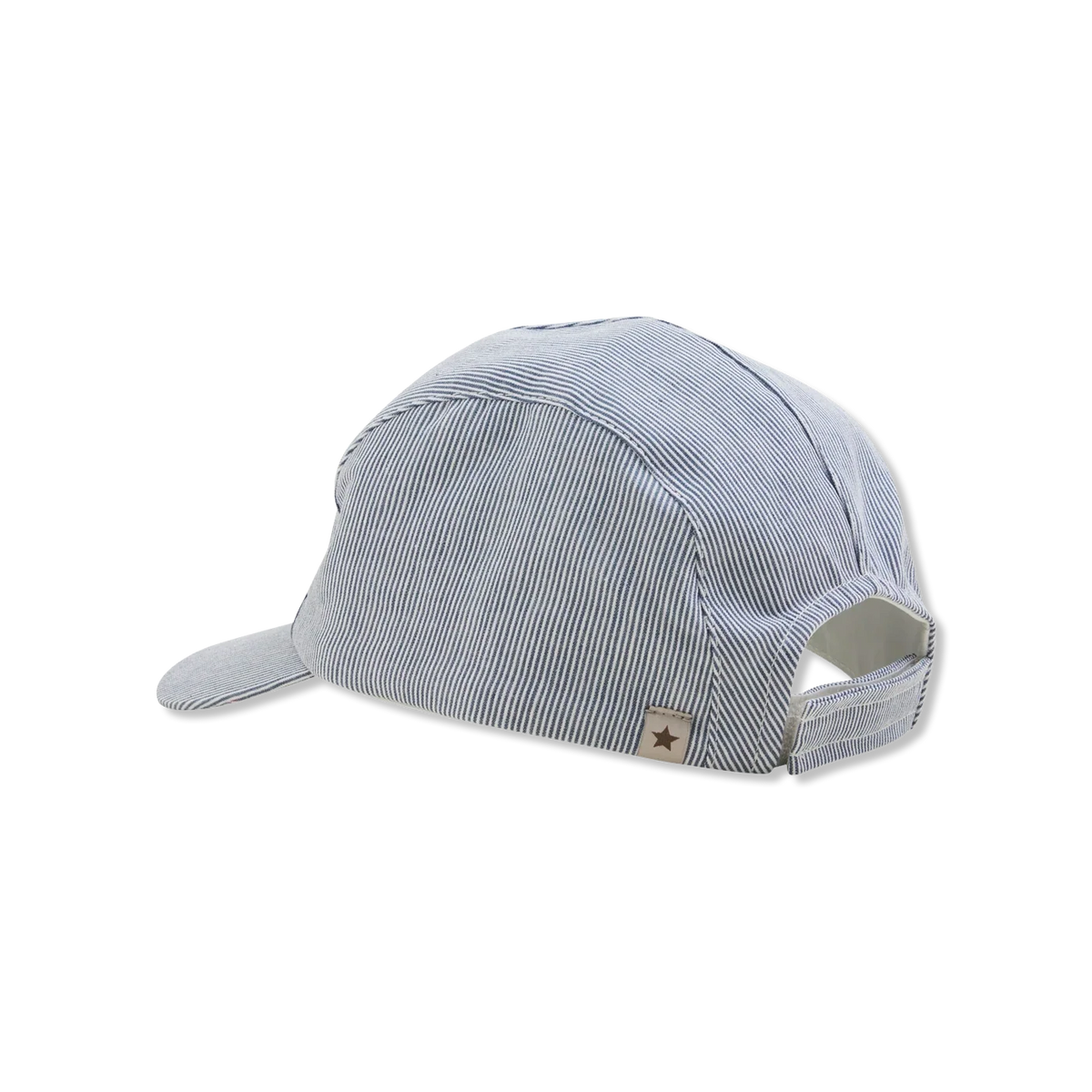 Cap pet