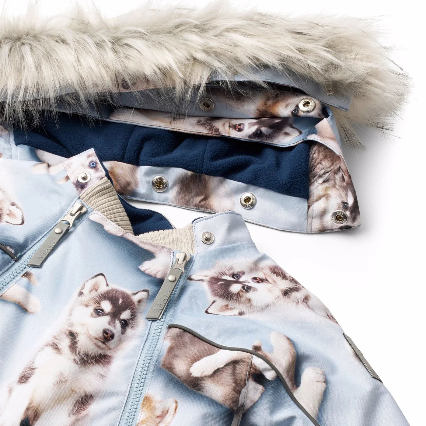 Pyxis fur