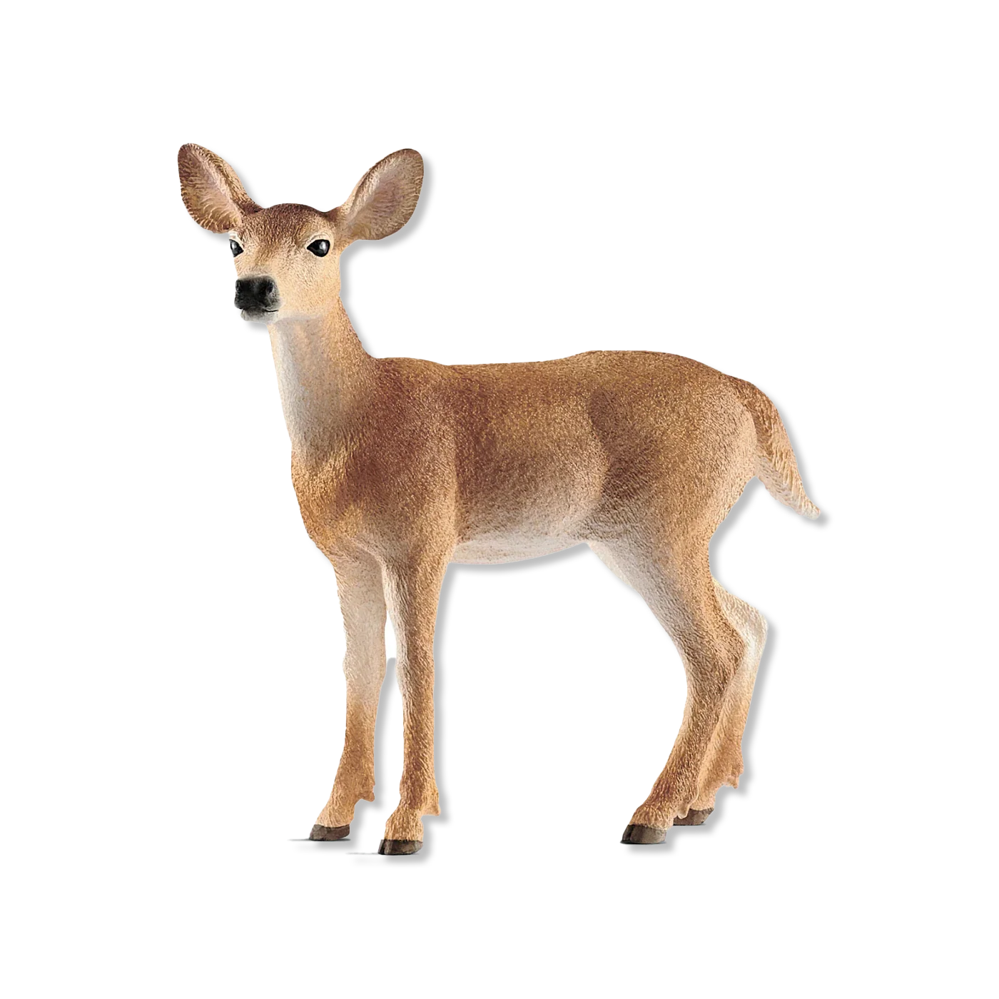 dieren & figuren