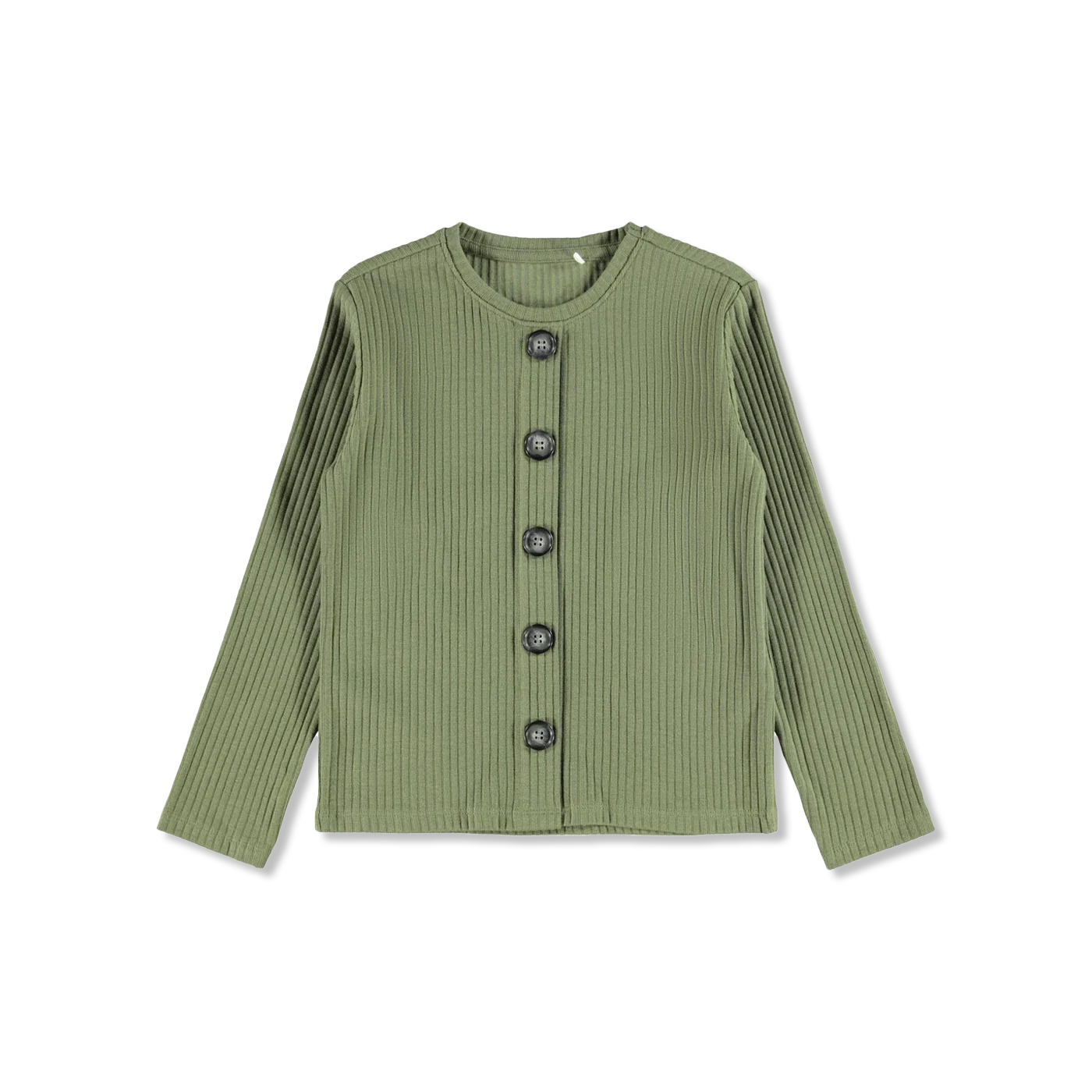 NKFBIRKA t-shirt lange mouw