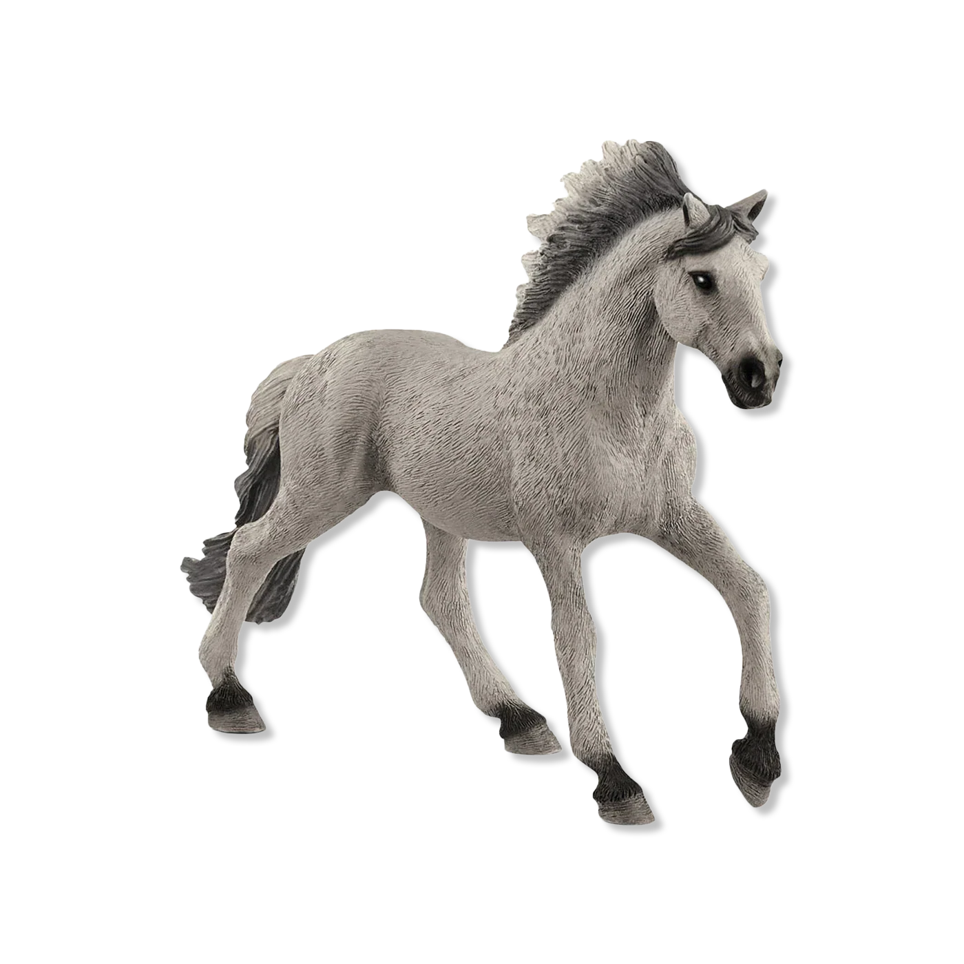 Sorraia Mustang Stallion dieren & figuren