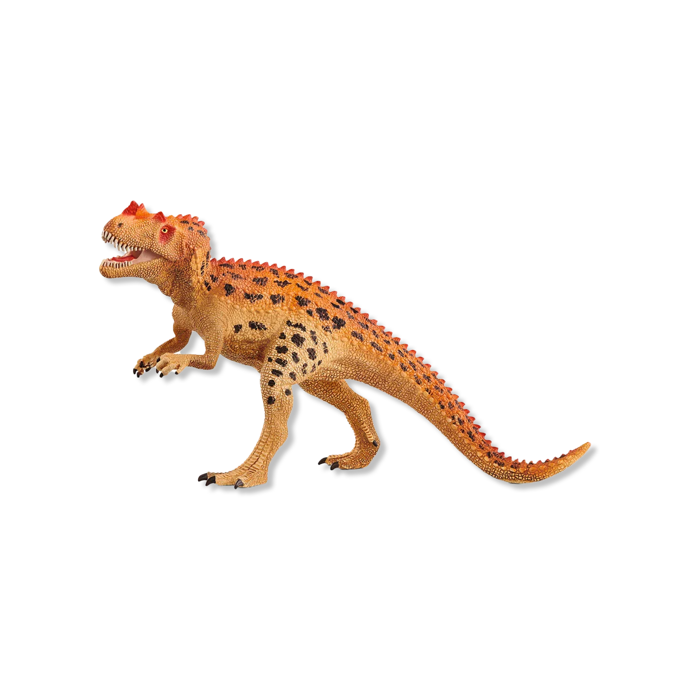 Ceratosaurus dieren & figuren