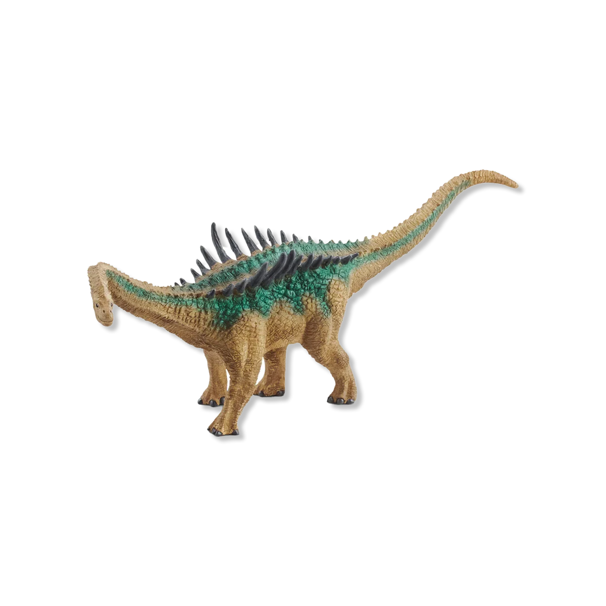 Agustinia dieren & figuren