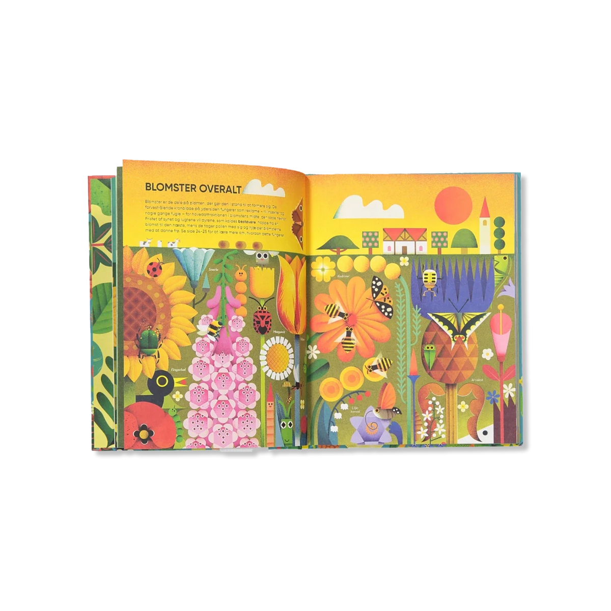 Boek