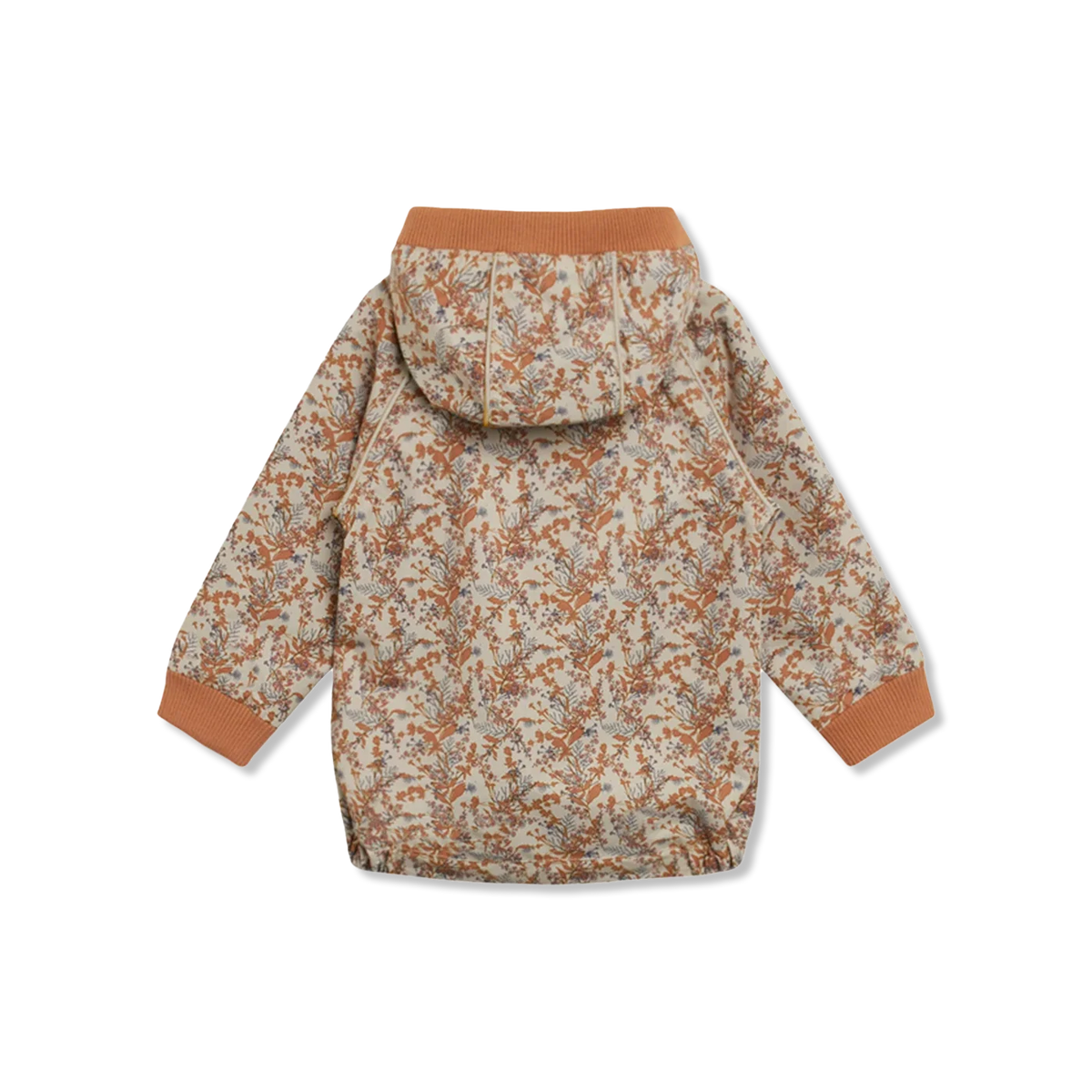 Odga zomerjas