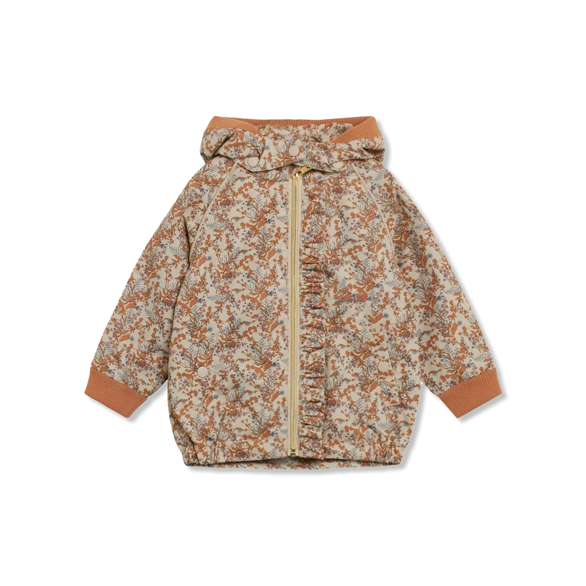 Odga zomerjas