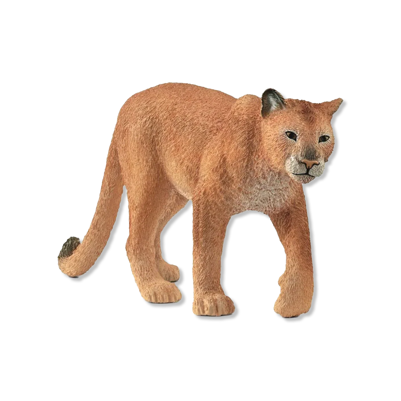 dieren & figuren