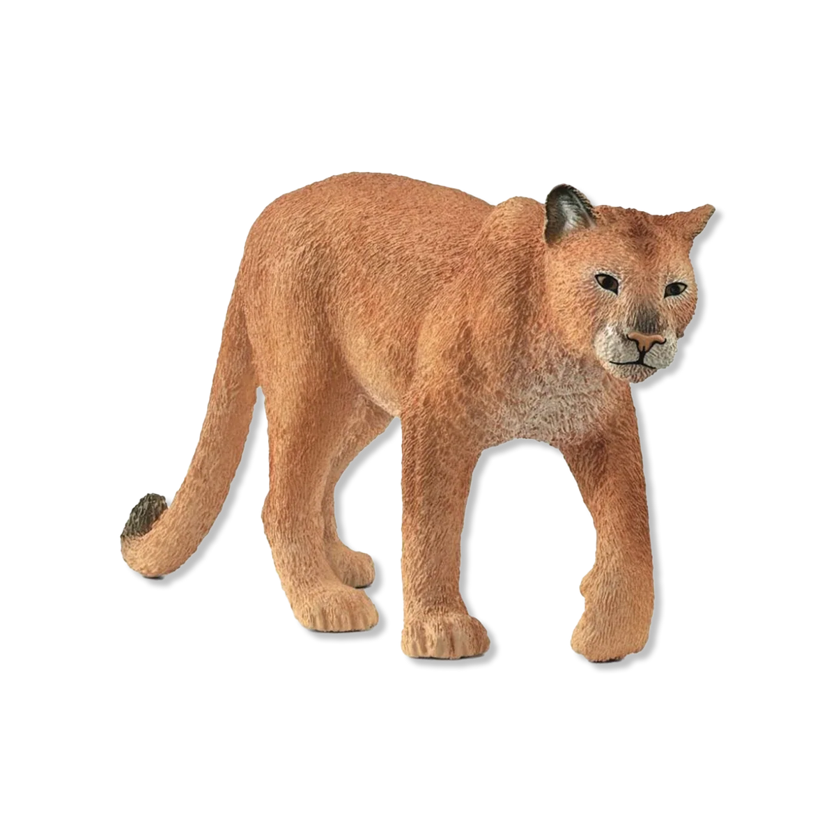 dieren & figuren