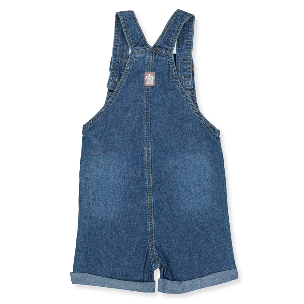 Alinen shorts overall