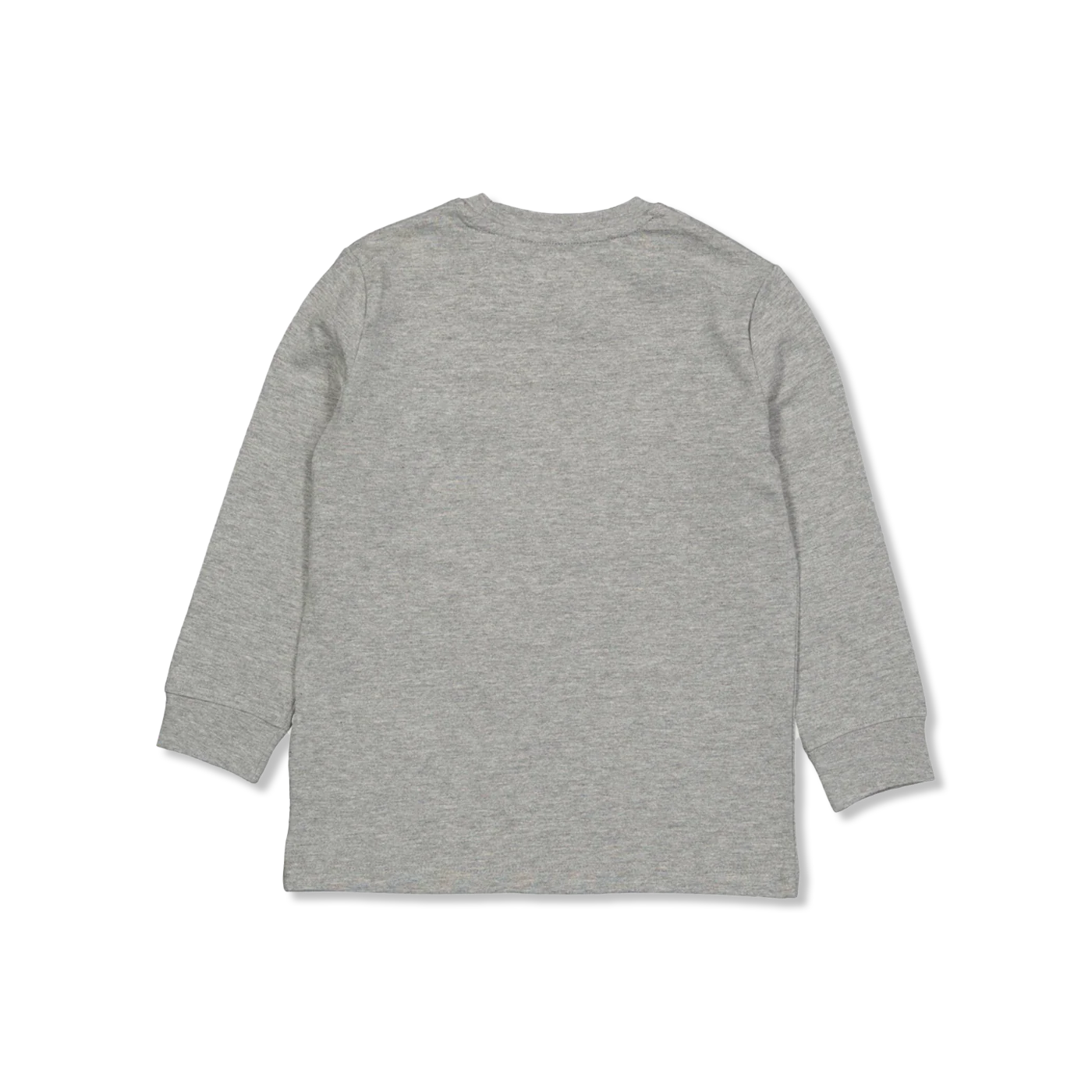 WOBBLY t-shirt lange mouw