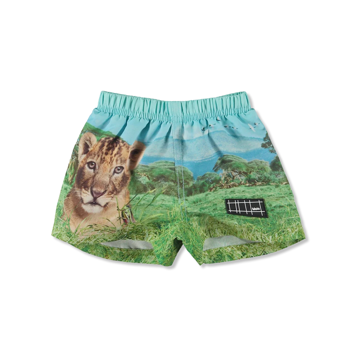 Newton zwemshorts