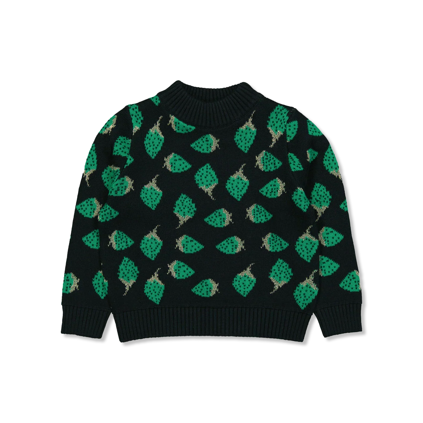 NKFSIBERRY t-shirt lange mouw