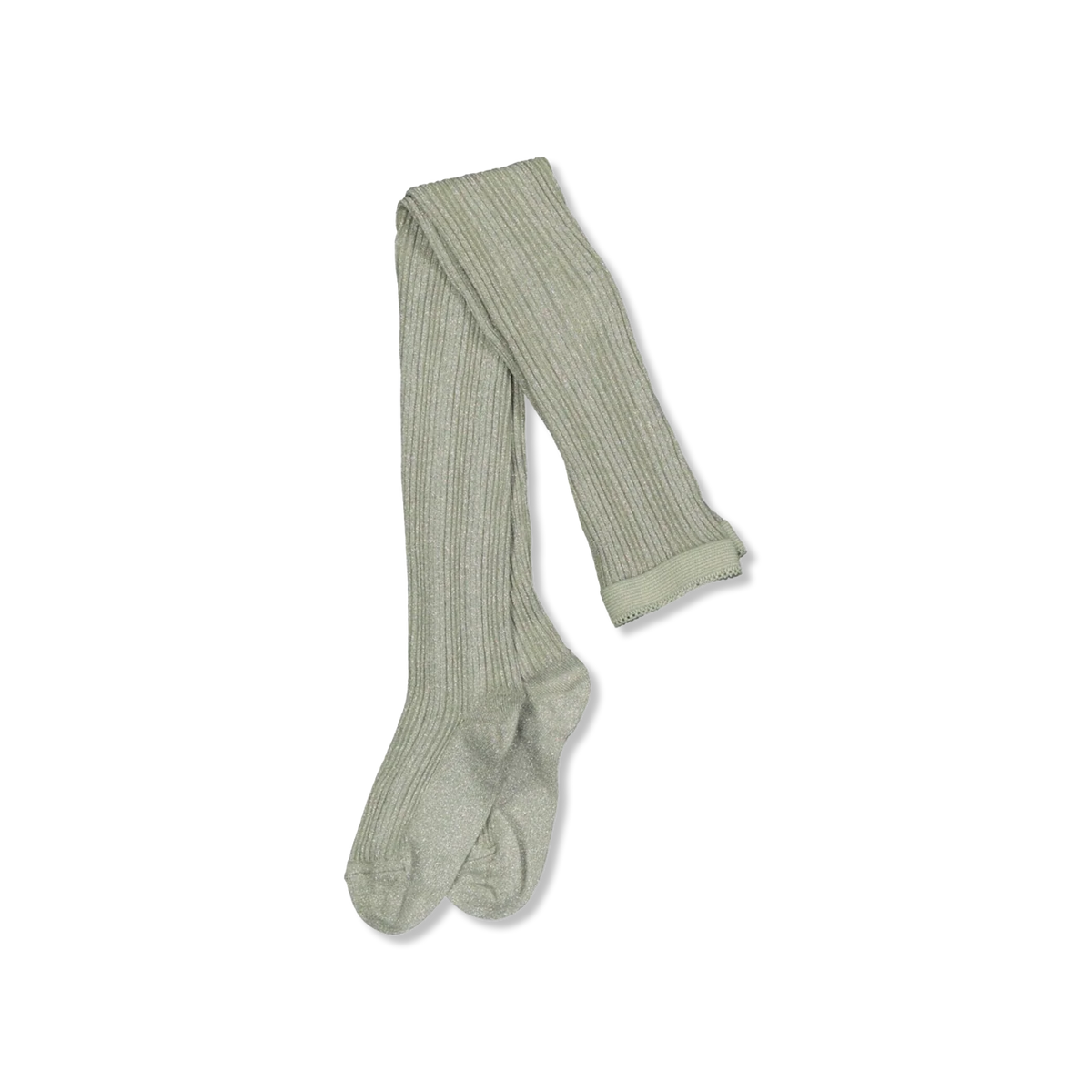 Celosia panty