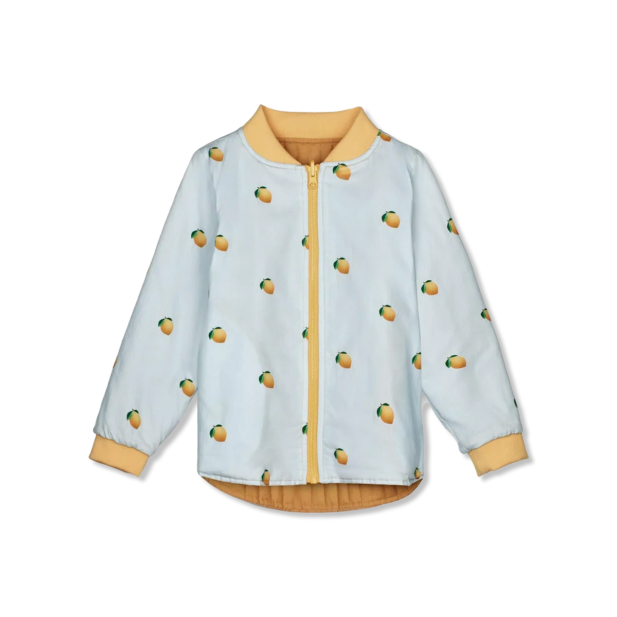 KOTA zomerjas
