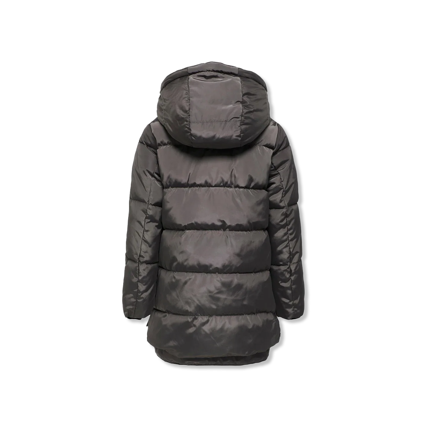 Kognora Winterjas