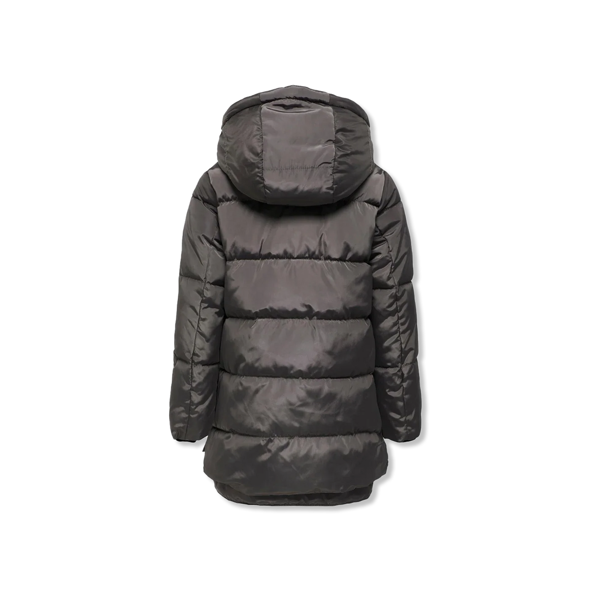 Kognora Winterjas