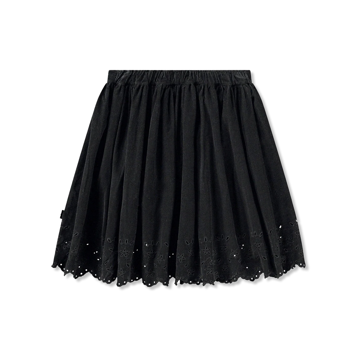Bellis Rok