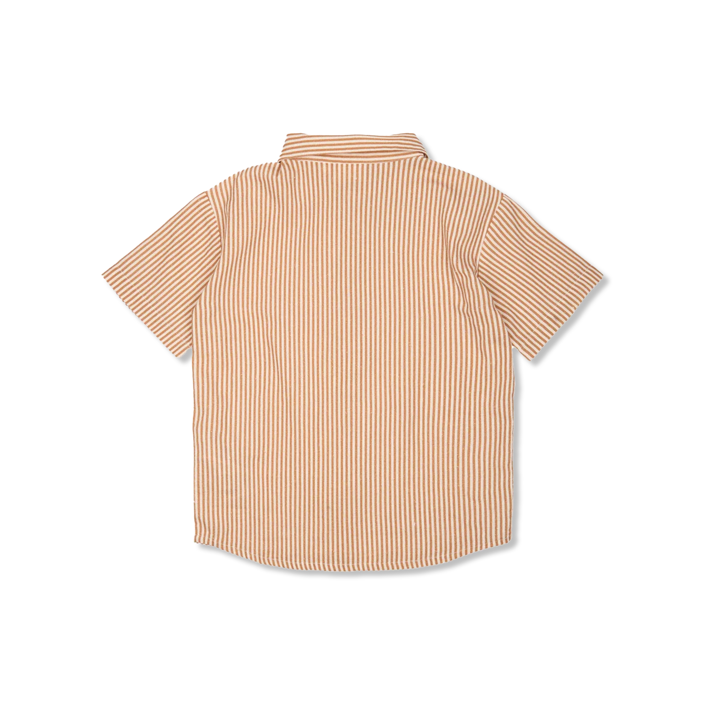 TNOllie shirt