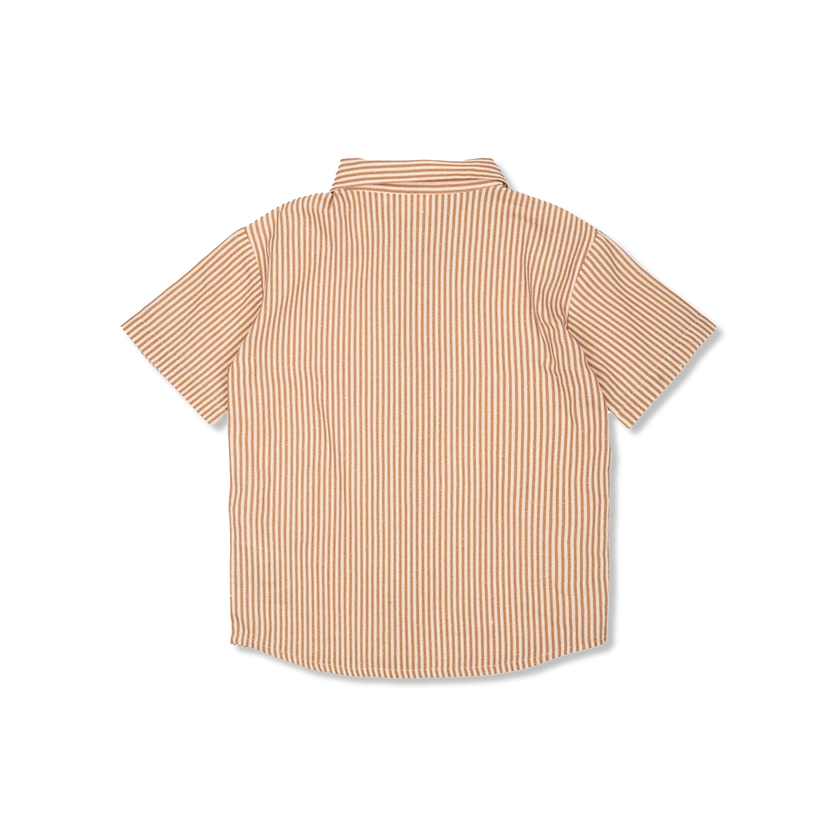 TNOllie shirt