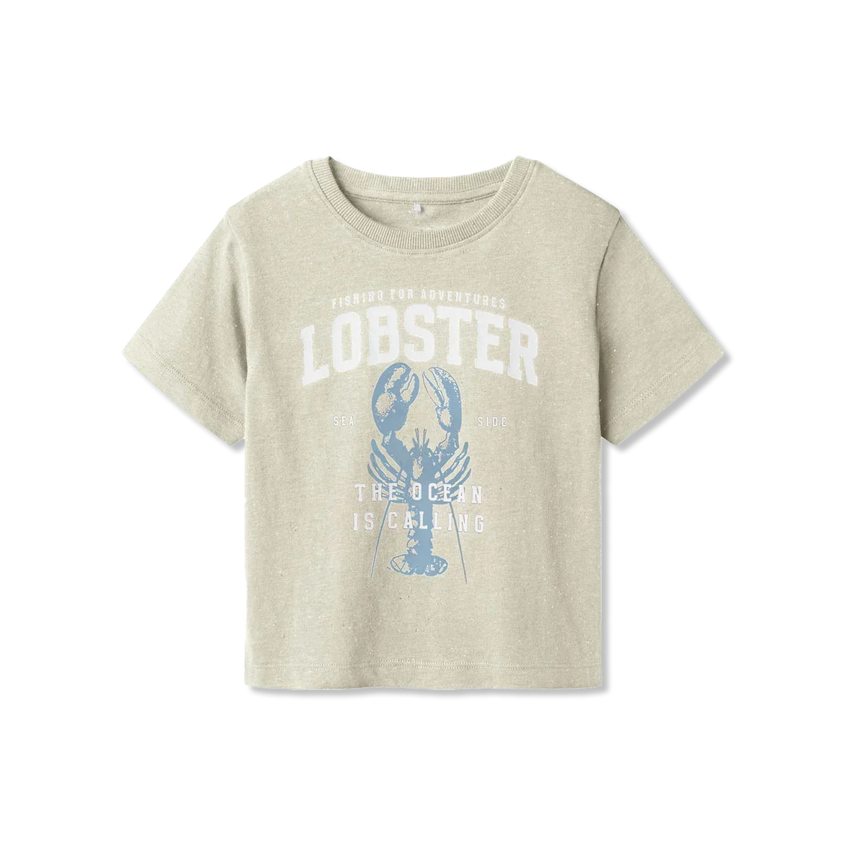 Nmmfabi t-Shirt