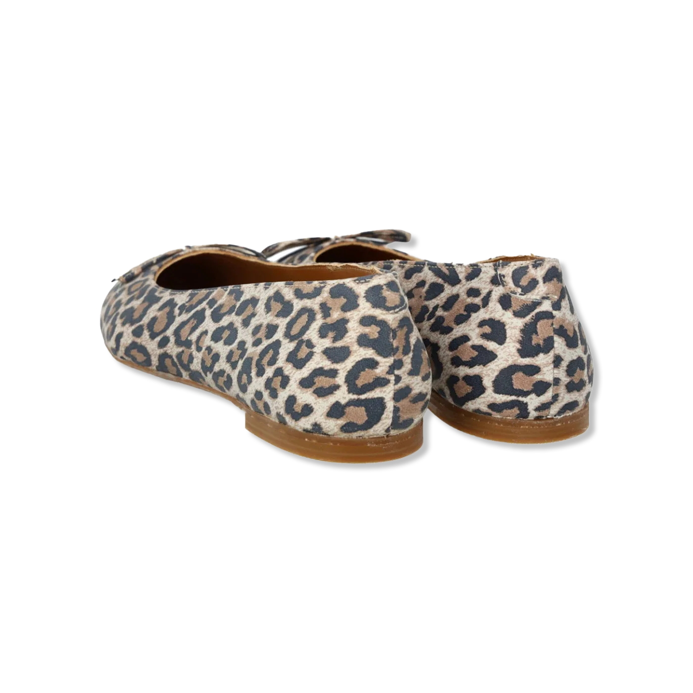 balletschoenen