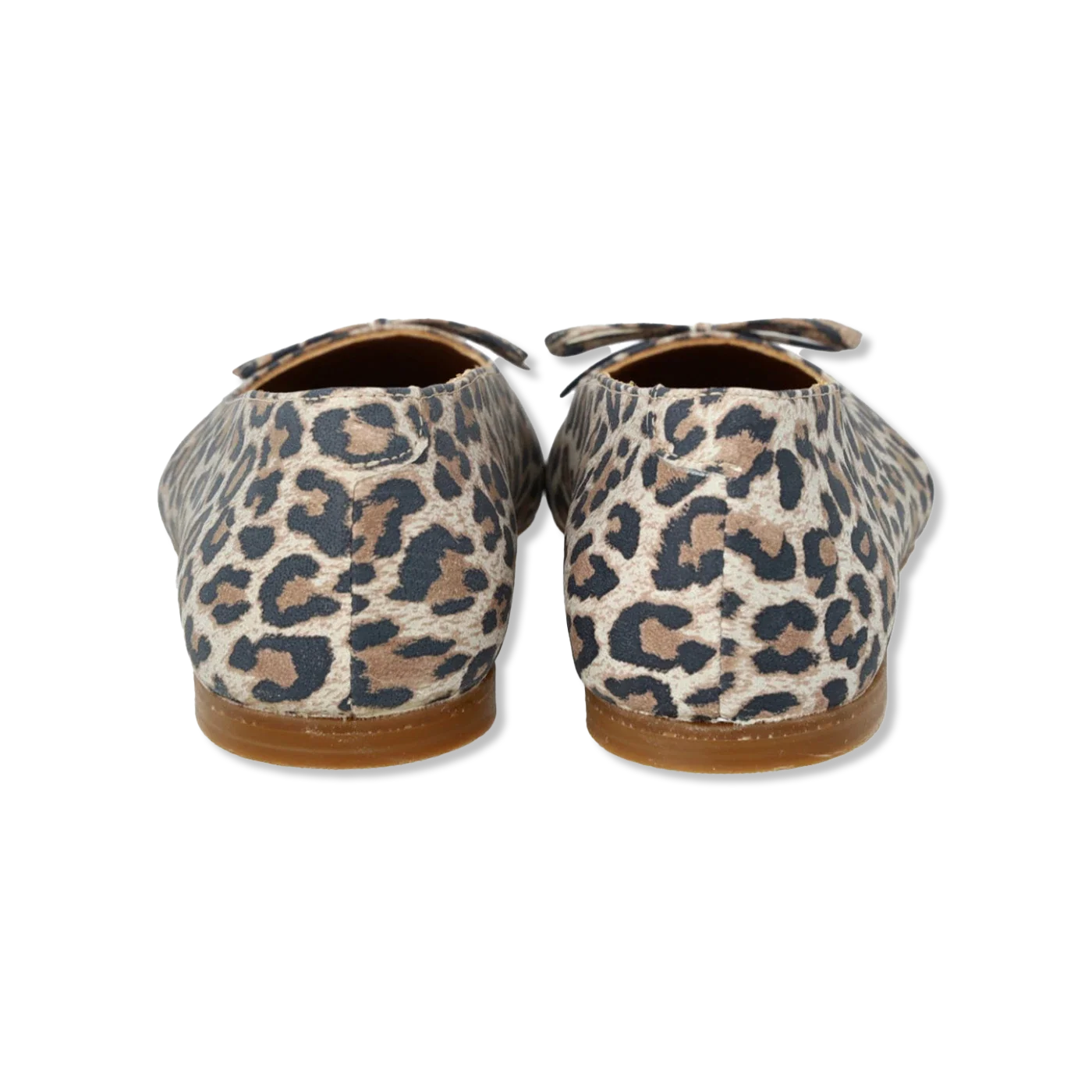balletschoenen