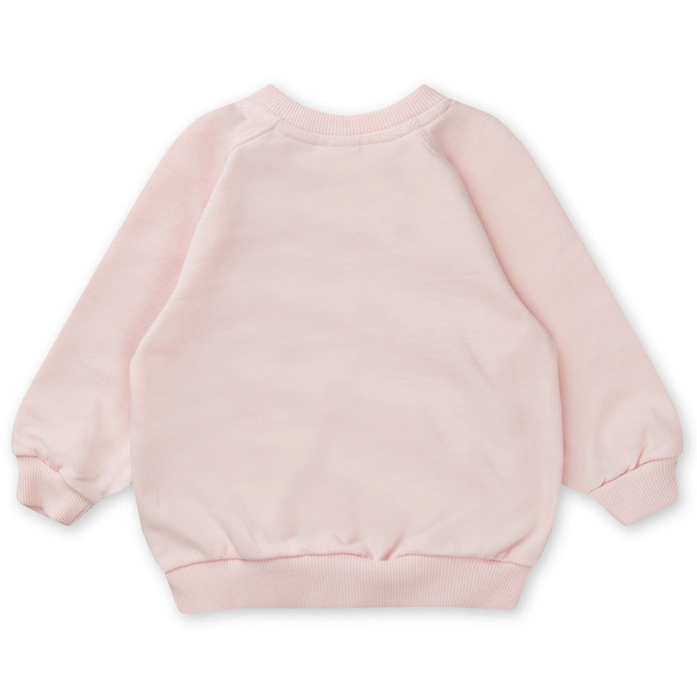 Sirius sweatshirts