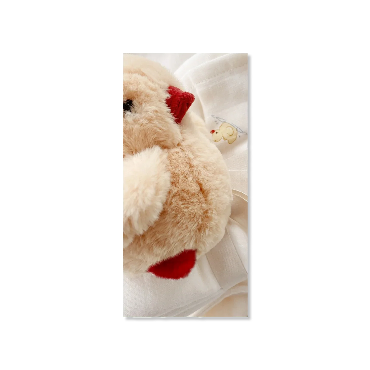 MIO teddybeer