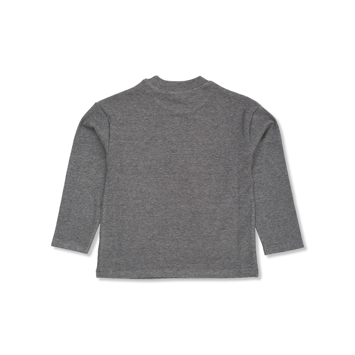 t-shirt lange mouw
