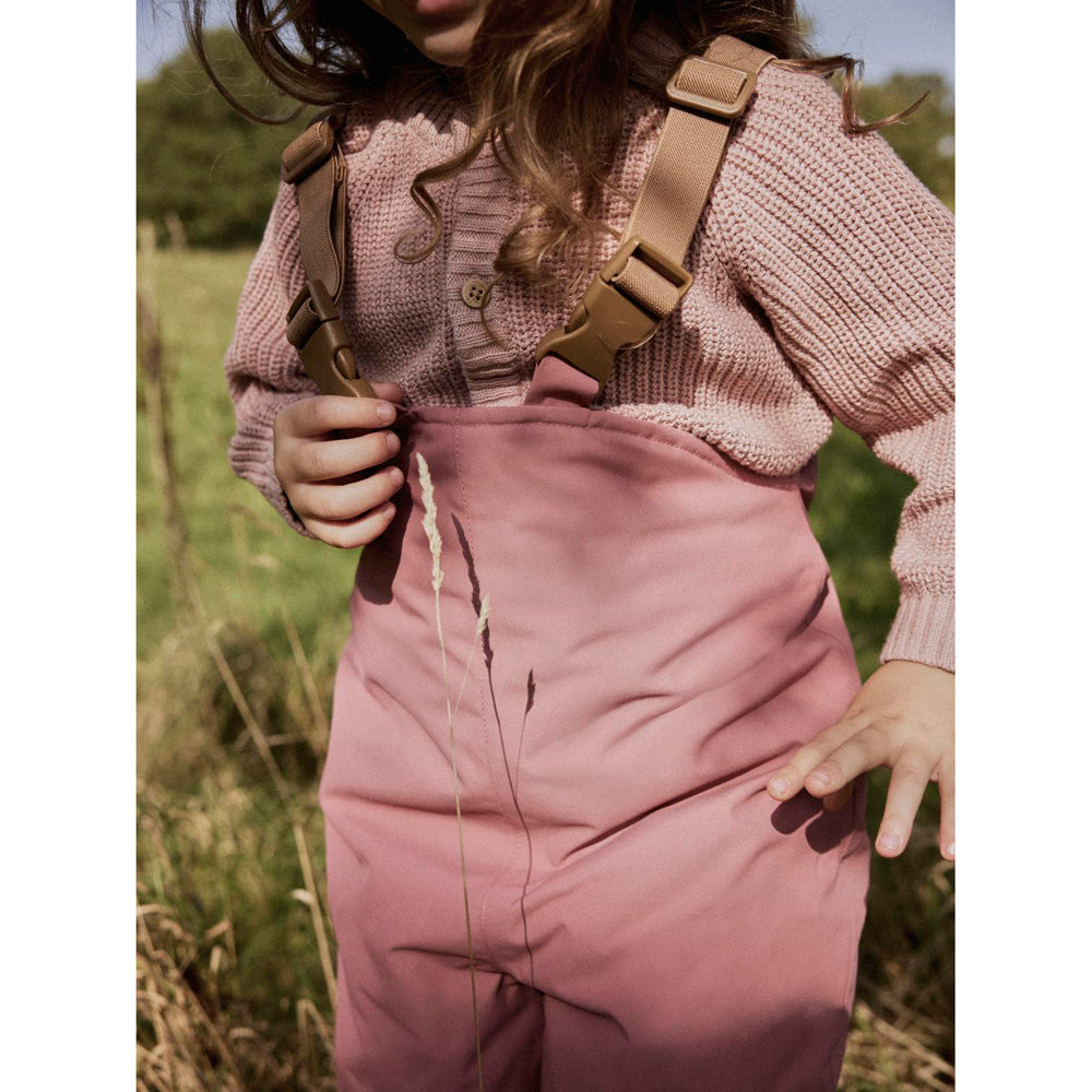 Nmflasnow10 overbroek