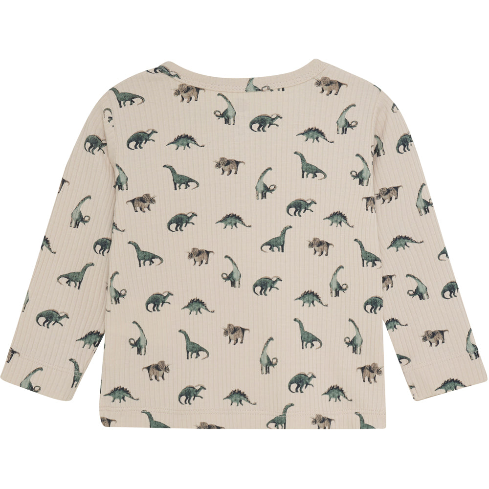 t-shirt lange mouw