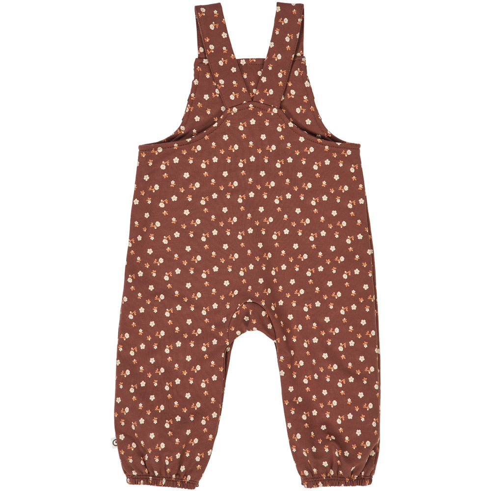 CEDAR broek