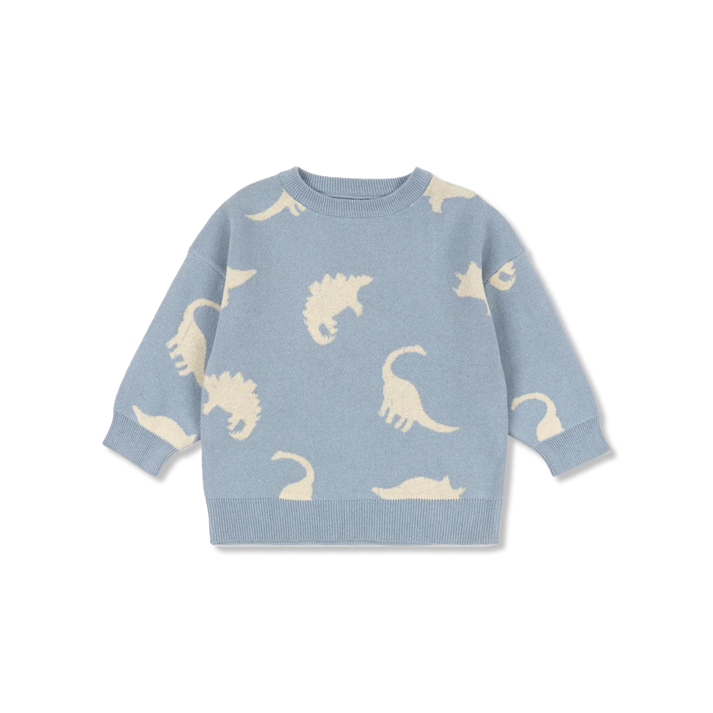 LAPIS t-shirt lange mouw