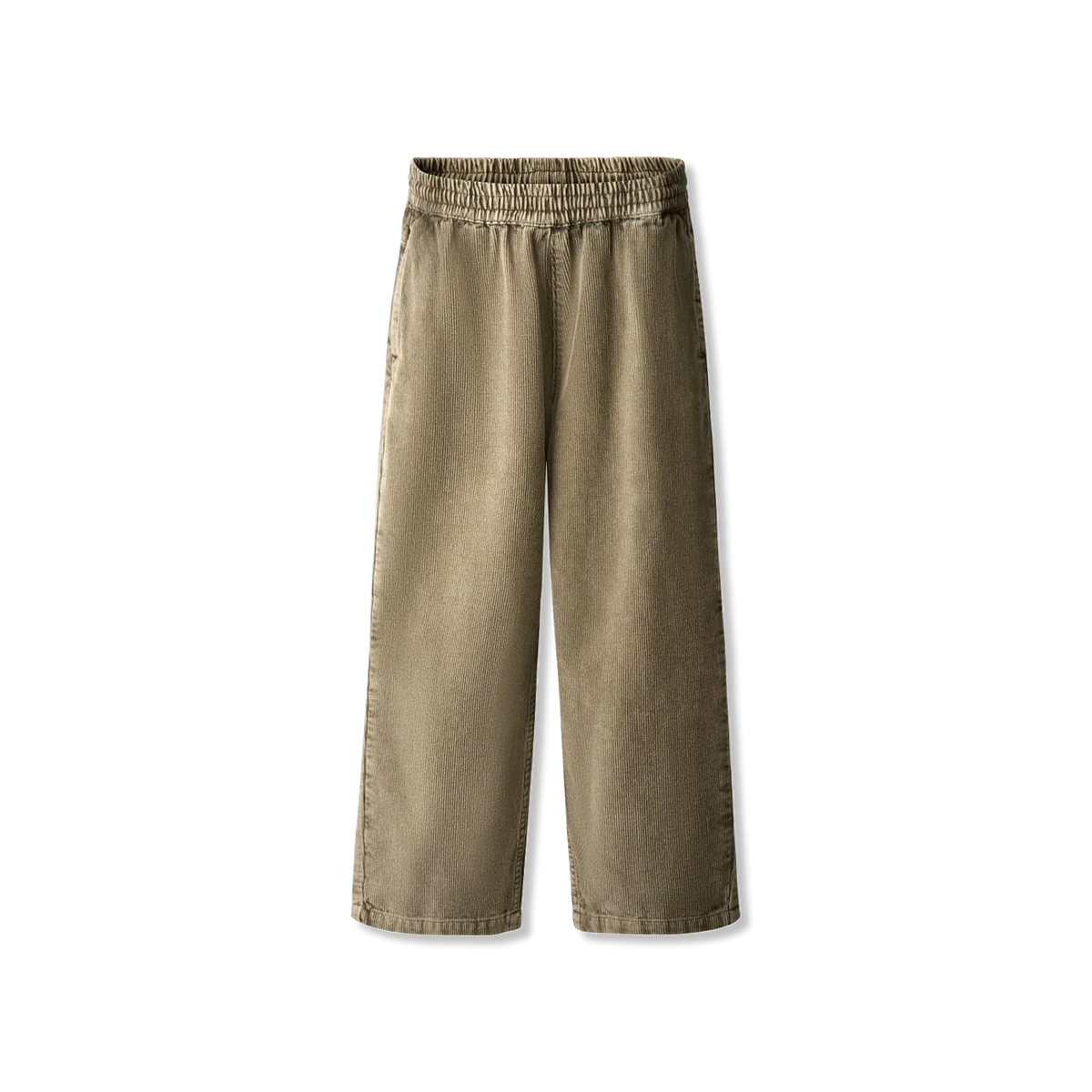 Aster Broek