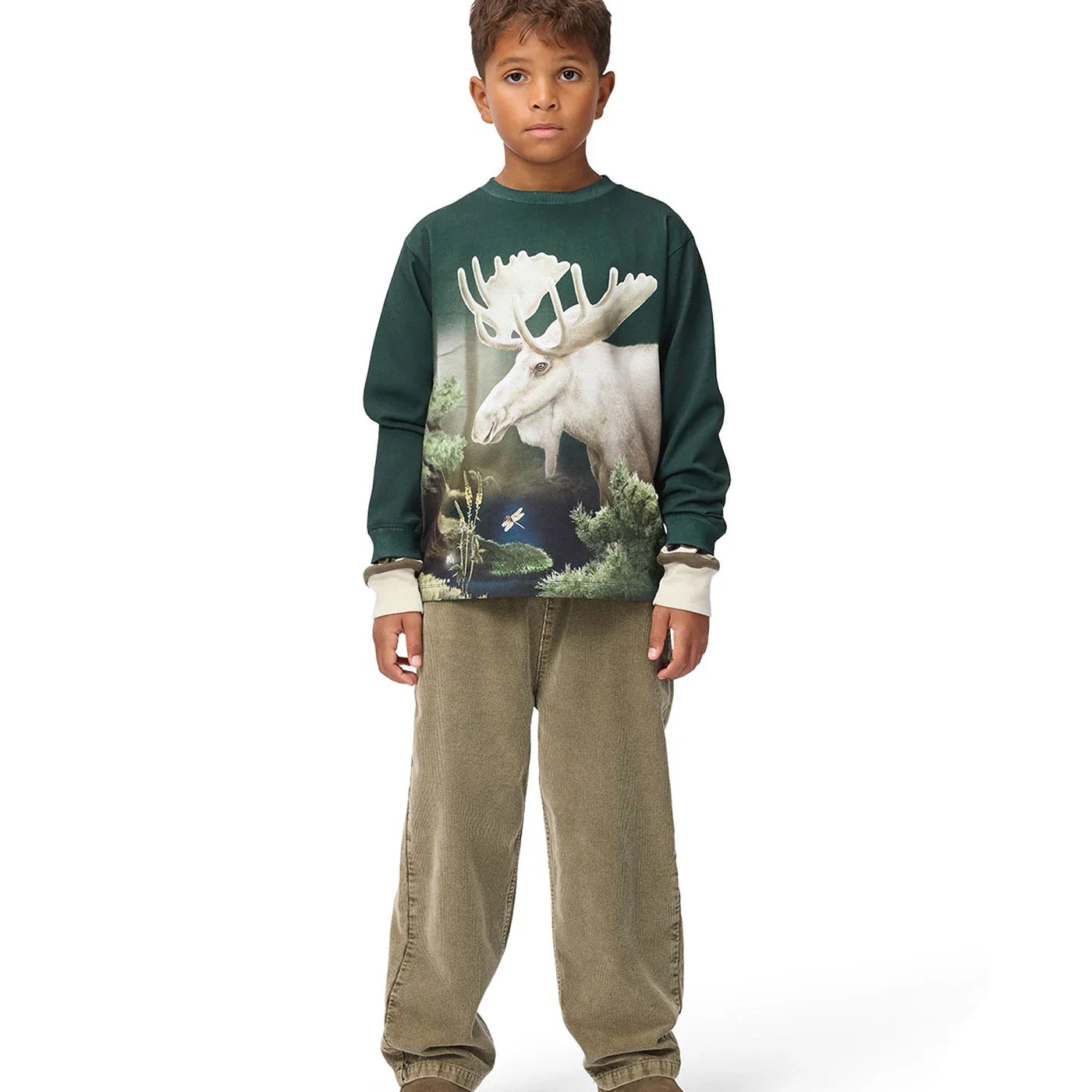 Aster Broek