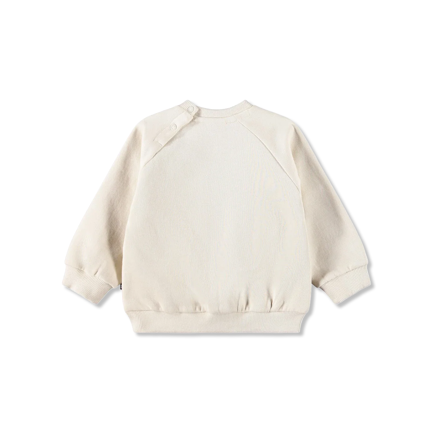 Disc Sweatshirt