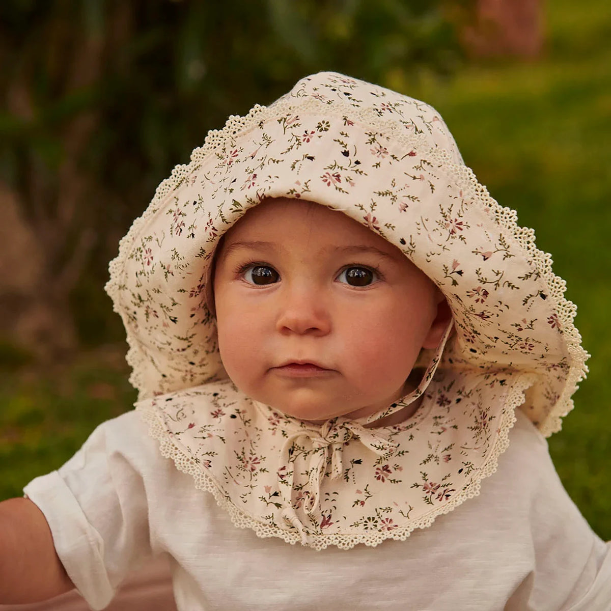 Lottie Zonnehoed