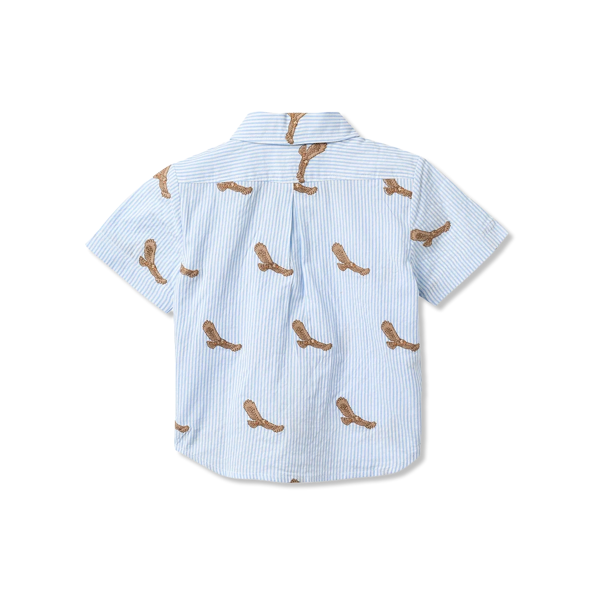 Shirt Shirt