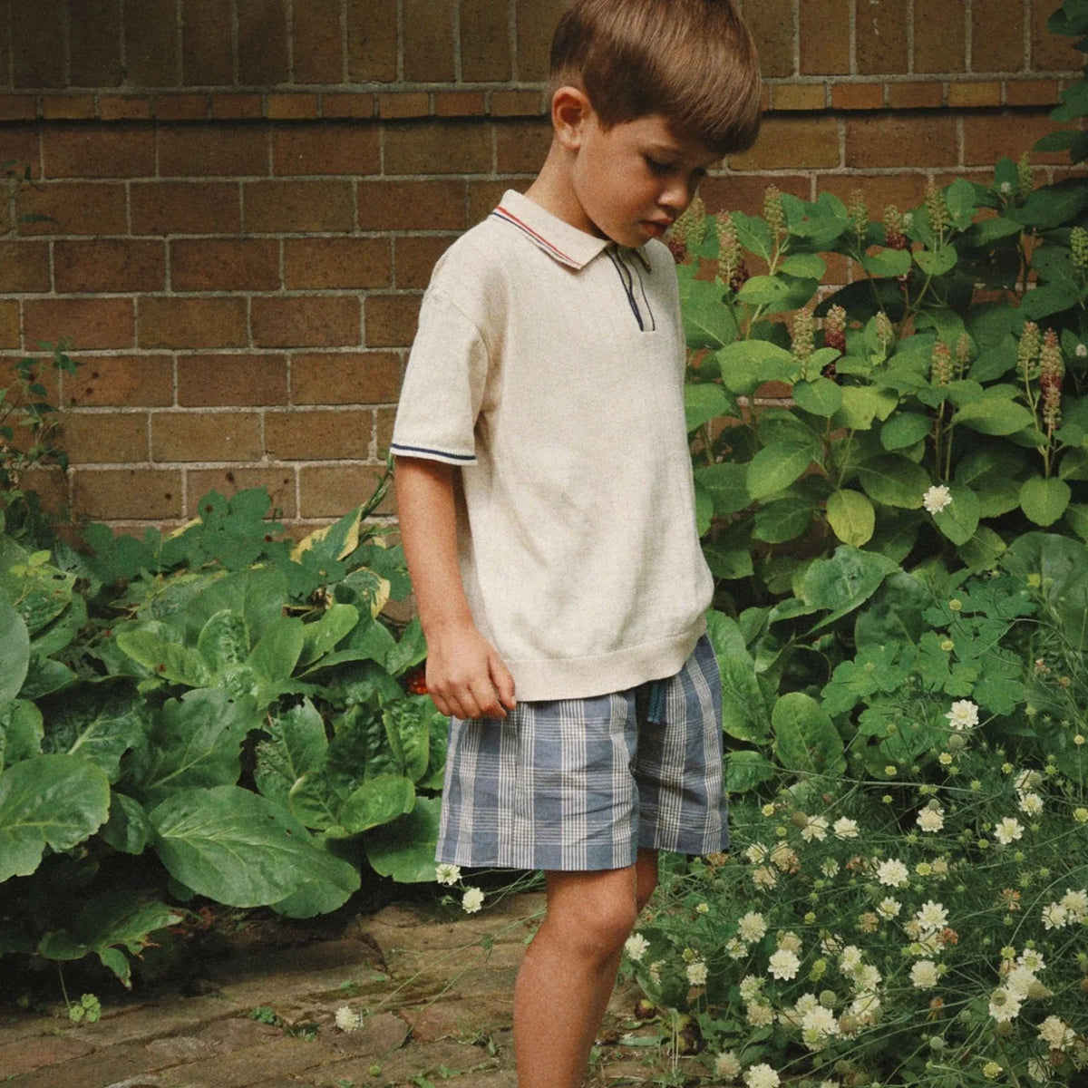 Verne Shorts