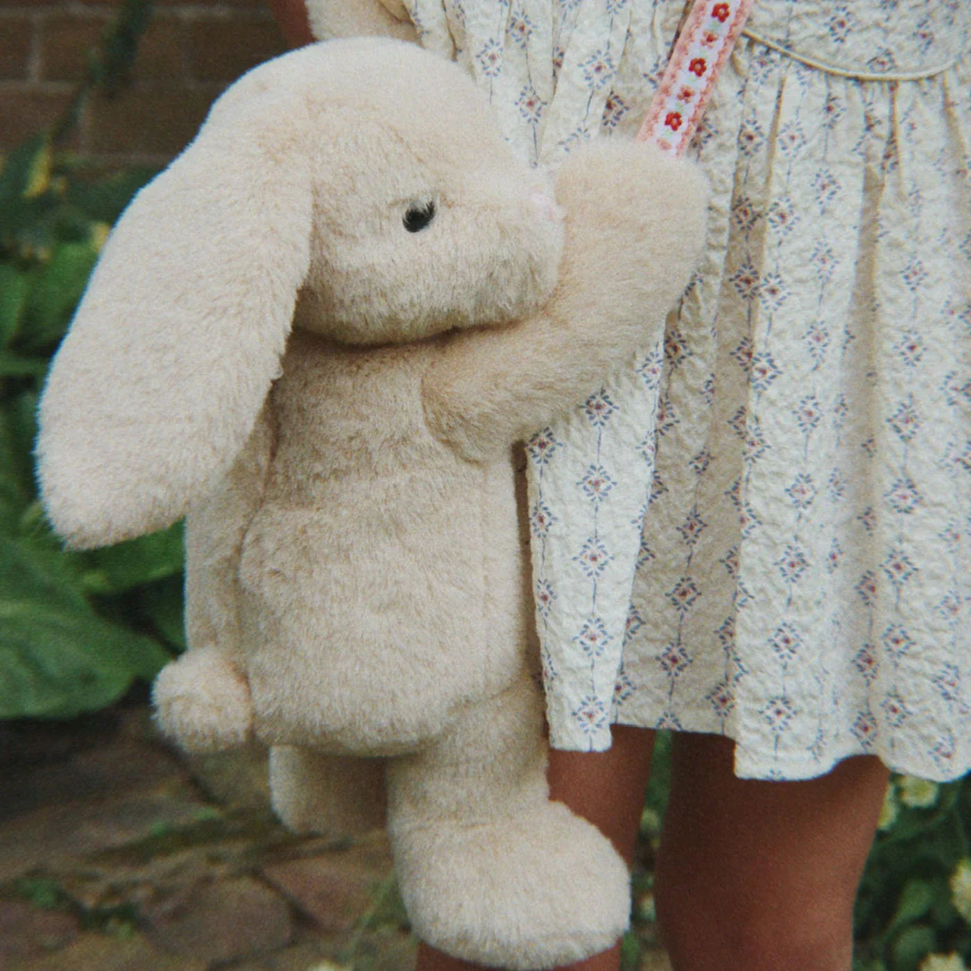 Teddy Tas