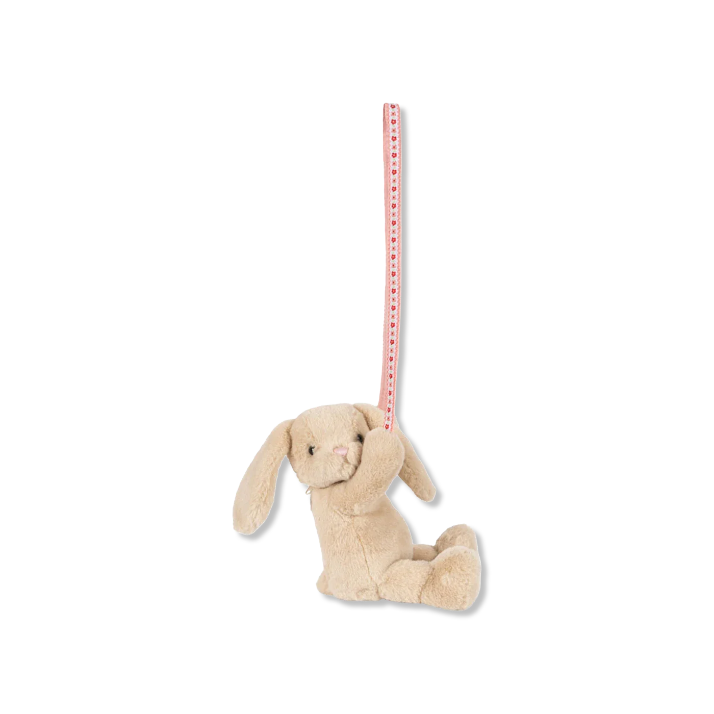 Teddy Tas