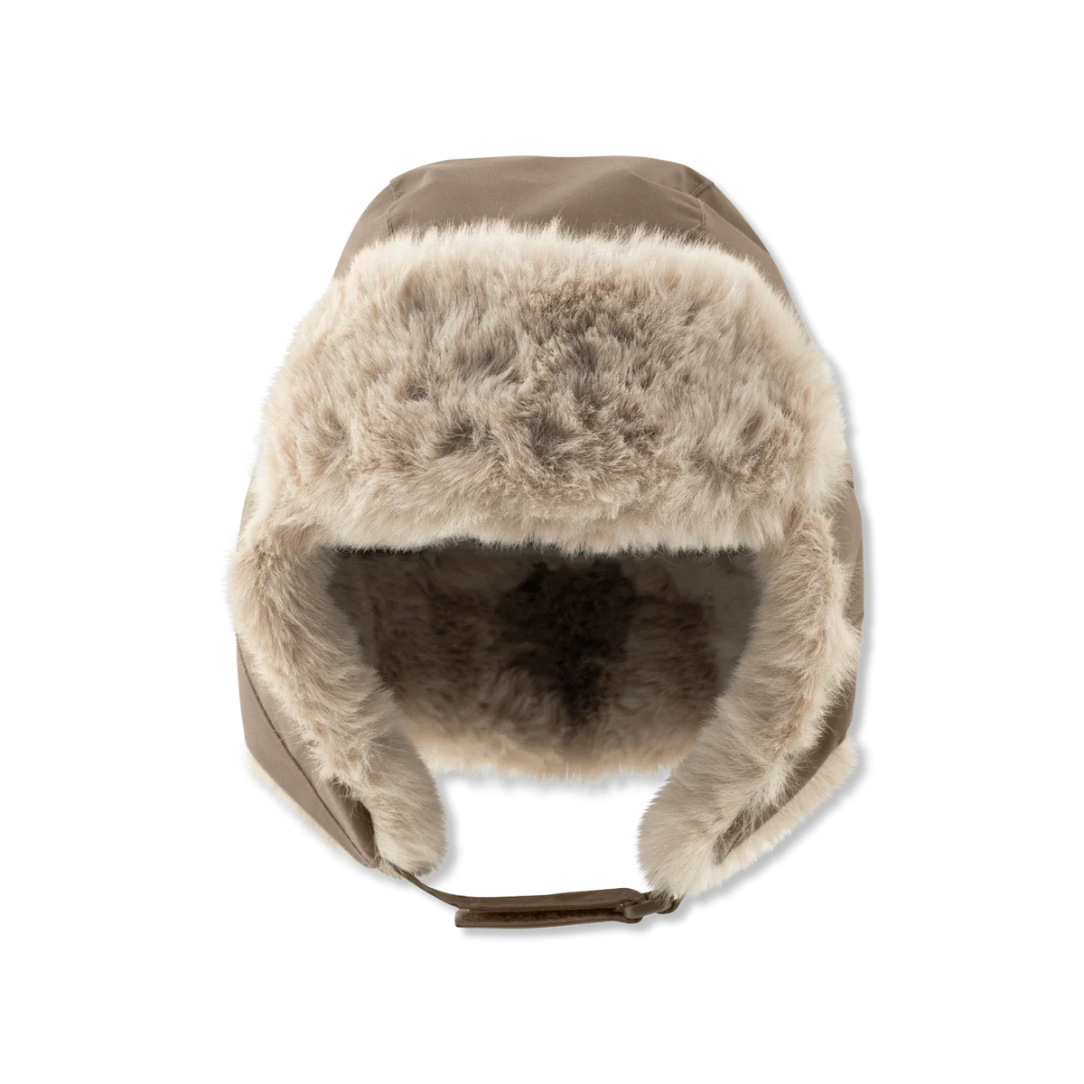 Matcrister teddy Muts