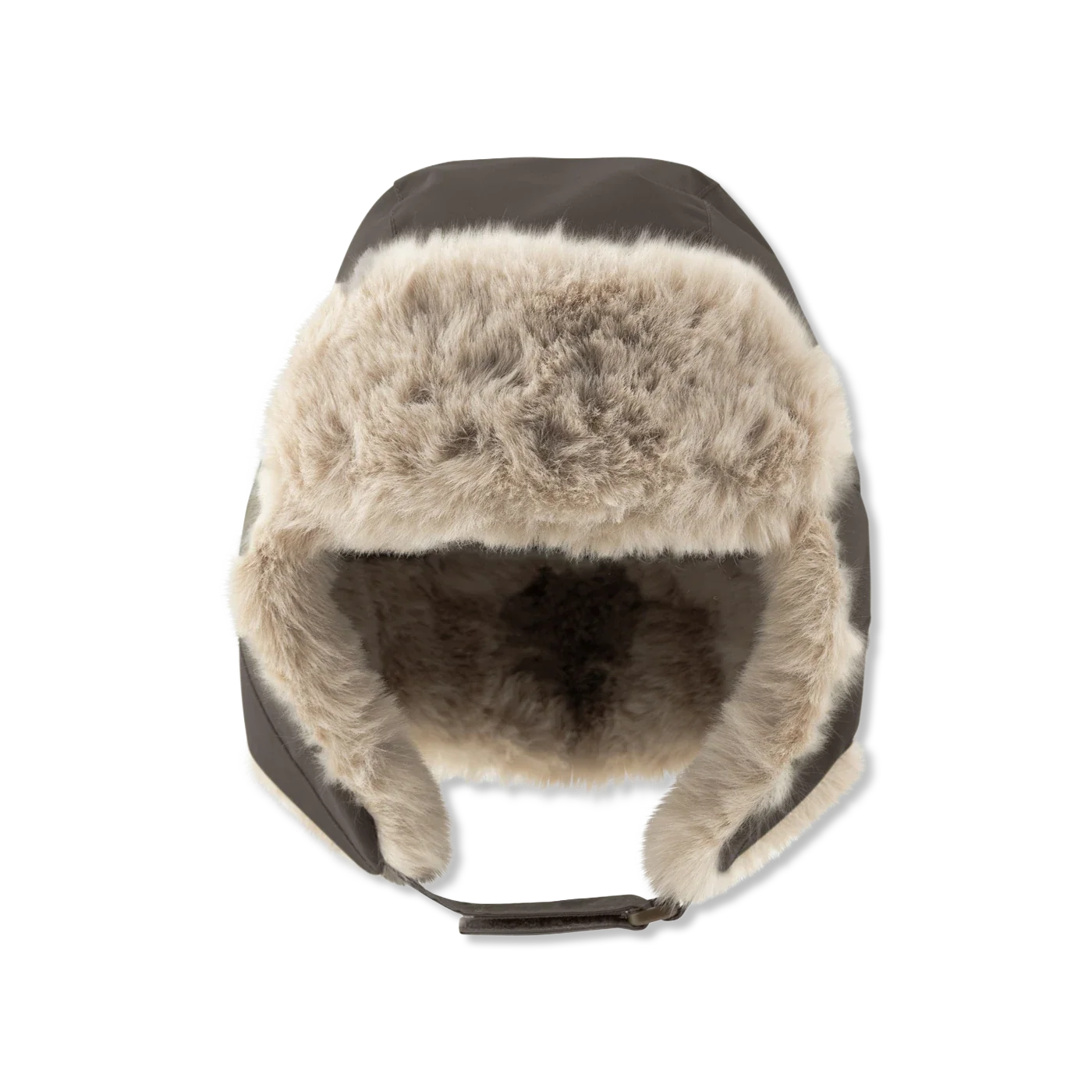 Matcrister teddy Muts