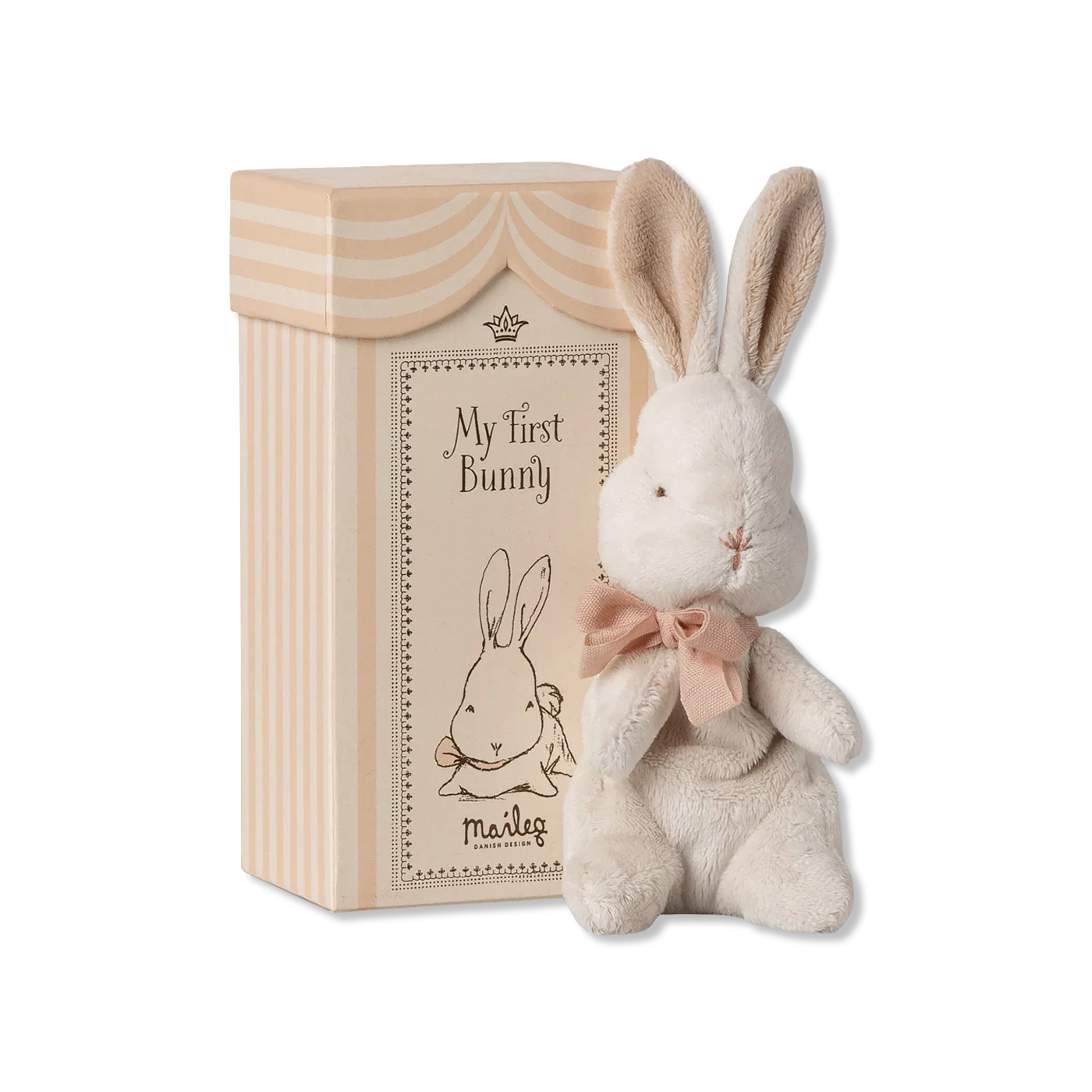 My first bunny Teddybeer